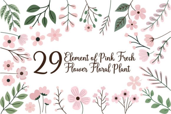 29 Element of Pink Fresh Flower Floral Graphics for Illustrations