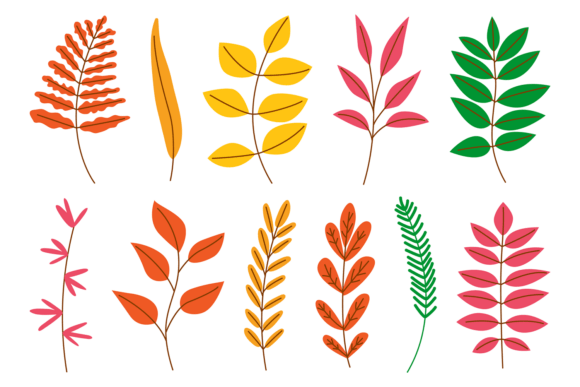 Autumn Tree Branches Set. Dry Floral Ele: Graphics & Illustrations Review