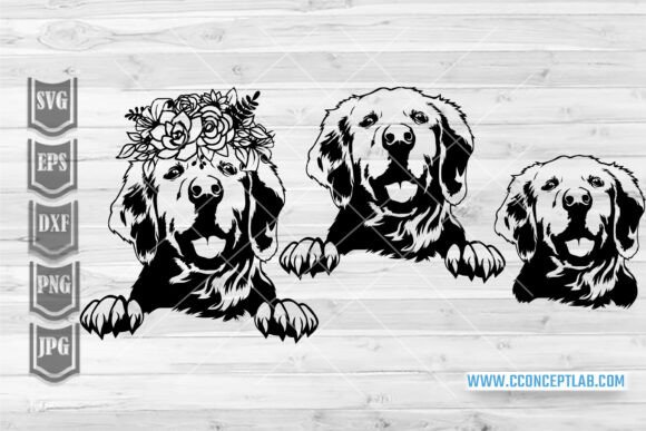 Floral Peeking Labrador Svg: A Designer's Real-World Review