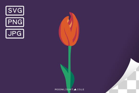 Funky Floral Modern Flower Tulip 2-1 Graphics and Illustrations Review
