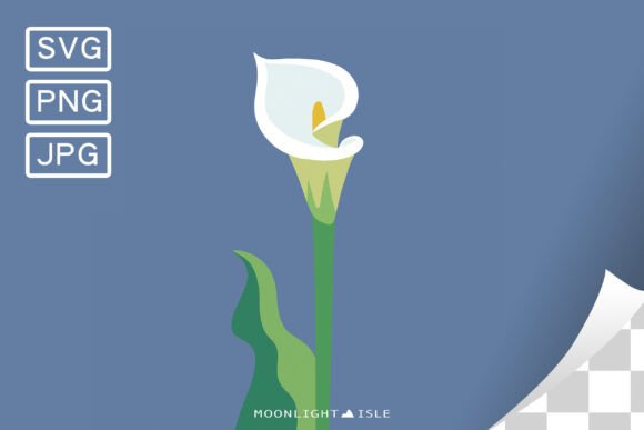 Funky Modern Floral Calla Lily 1-1: A Designer's Review of These Graphics