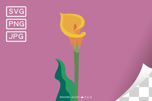 Funky Modern Floral SVG Calla Lily 4-1: Graphics & Illustrations Review