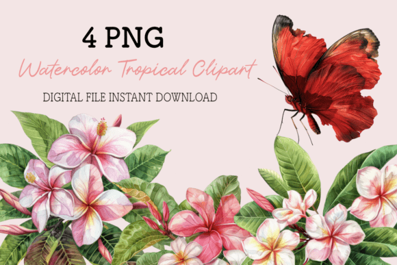 Tropical Flower Watercolor Floral Clipar Graphics and Illustrations Review